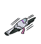 鳩にはトラブル無用 3.1（個別スタンプ：14）