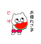 可愛いネコちゃんの夏スタンプ（個別スタンプ：13）