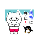 可愛いネコちゃんの夏スタンプ（個別スタンプ：15）