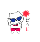 可愛いネコちゃんの夏スタンプ（個別スタンプ：17）