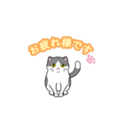 ビジネスお猫（個別スタンプ：1）