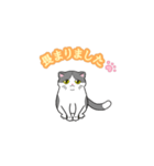 ビジネスお猫（個別スタンプ：2）