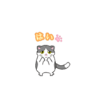 ビジネスお猫（個別スタンプ：3）