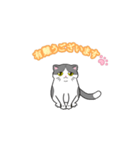 ビジネスお猫（個別スタンプ：5）