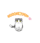 ビジネスお猫（個別スタンプ：6）