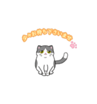 ビジネスお猫（個別スタンプ：7）