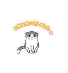 ビジネスお猫（個別スタンプ：8）