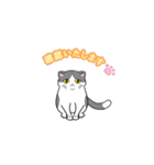 ビジネスお猫（個別スタンプ：9）