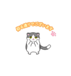 ビジネスお猫（個別スタンプ：10）