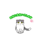 ビジネスお猫（個別スタンプ：12）