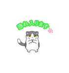 ビジネスお猫（個別スタンプ：13）