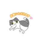 ビジネスお猫（個別スタンプ：15）