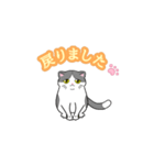 ビジネスお猫（個別スタンプ：16）