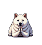 無言で伝える太っちょ白柴犬（個別スタンプ：6）