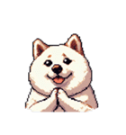 無言で伝える太っちょ白柴犬（個別スタンプ：7）