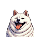 無言で伝える太っちょ白柴犬（個別スタンプ：13）