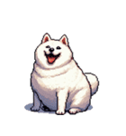 無言で伝える太っちょ白柴犬（個別スタンプ：14）
