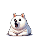 無言で伝える太っちょ白柴犬（個別スタンプ：16）