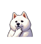無言で伝える太っちょ白柴犬（個別スタンプ：17）