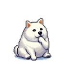 無言で伝える太っちょ白柴犬（個別スタンプ：19）