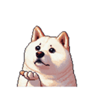 無言で伝える太っちょ白柴犬（個別スタンプ：20）