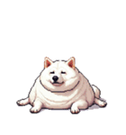 無言で伝える太っちょ白柴犬（個別スタンプ：22）
