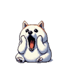 無言で伝える太っちょ白柴犬（個別スタンプ：24）