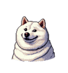 無言で伝える太っちょ白柴犬（個別スタンプ：26）