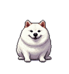 無言で伝える太っちょ白柴犬（個別スタンプ：27）