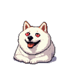 無言で伝える太っちょ白柴犬（個別スタンプ：28）