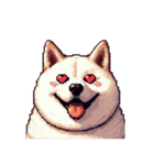 無言で伝える太っちょ白柴犬（個別スタンプ：29）