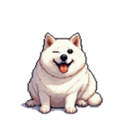 無言で伝える太っちょ白柴犬（個別スタンプ：31）
