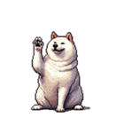 無言で伝える太っちょ白柴犬（個別スタンプ：32）