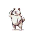 無言で伝える太っちょ白柴犬（個別スタンプ：34）