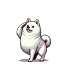 無言で伝える太っちょ白柴犬（個別スタンプ：35）