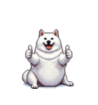 無言で伝える太っちょ白柴犬（個別スタンプ：36）