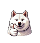 無言で伝える太っちょ白柴犬（個別スタンプ：37）
