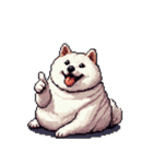 無言で伝える太っちょ白柴犬（個別スタンプ：38）