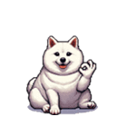 無言で伝える太っちょ白柴犬（個別スタンプ：39）