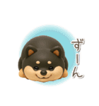3D黒しば犬【日常会話・リアクション】（個別スタンプ：32）