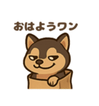 袋に入った犬（個別スタンプ：1）