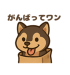 袋に入った犬（個別スタンプ：10）