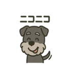 ごきげんシュナなスタンプ（個別スタンプ：1）