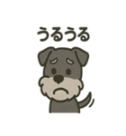 ごきげんシュナなスタンプ（個別スタンプ：2）