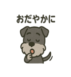 ごきげんシュナなスタンプ（個別スタンプ：3）