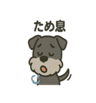ごきげんシュナなスタンプ（個別スタンプ：4）