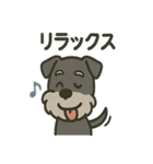 ごきげんシュナなスタンプ（個別スタンプ：5）