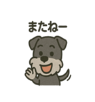 ごきげんシュナなスタンプ（個別スタンプ：7）