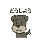 ごきげんシュナなスタンプ（個別スタンプ：10）