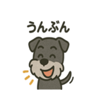 ごきげんシュナなスタンプ（個別スタンプ：13）